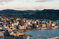 Wellington city and harbour view