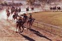 Alice Springs Camel Race